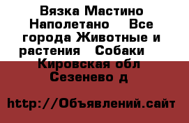 Вязка Мастино Наполетано  - Все города Животные и растения » Собаки   . Кировская обл.,Сезенево д.